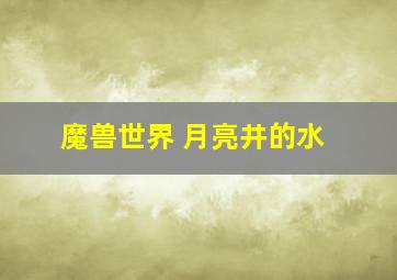 魔兽世界 月亮井的水